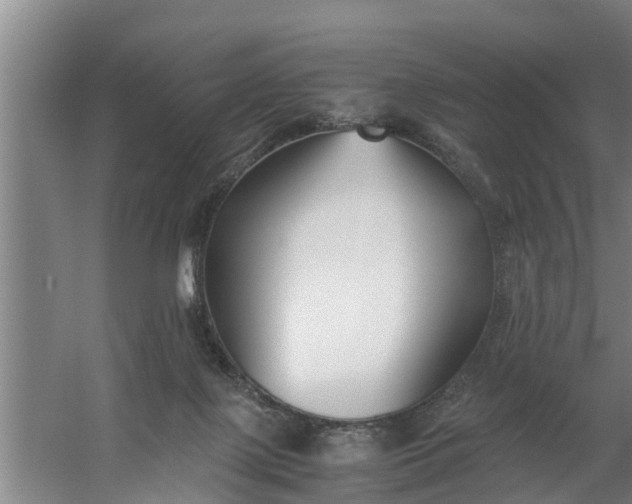 X0000059850075200511041850