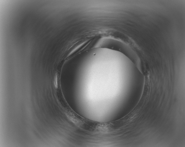 X0000059850076200511041850