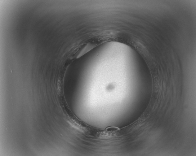 X0000059850077200511041850