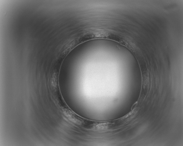 X0000059850078200511041850