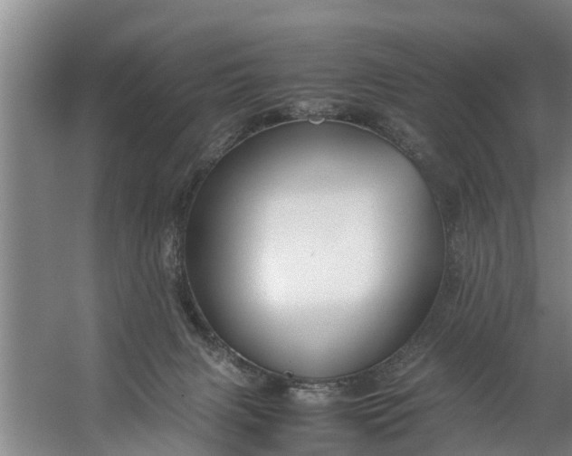 X0000059850079200511041850