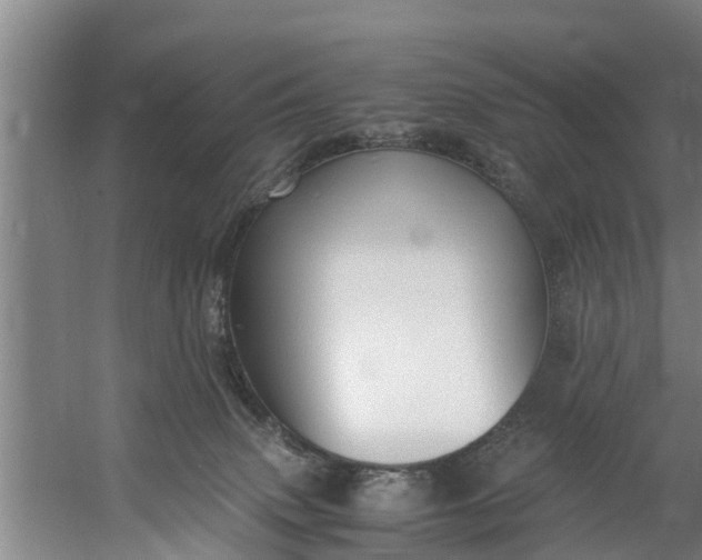 X0000059850083200511041850