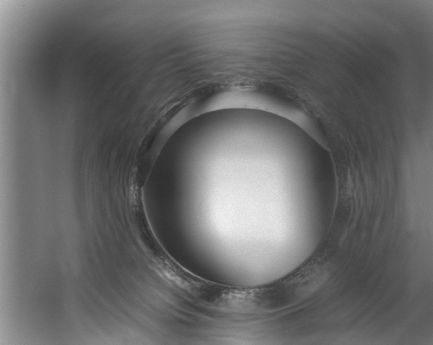 X0000059850084200511041850