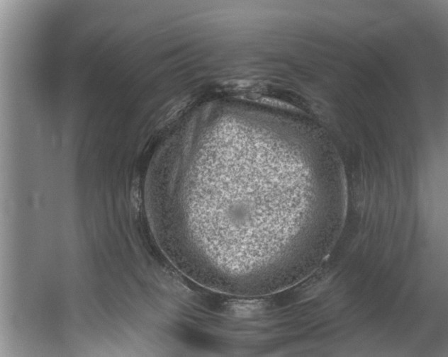 X0000059850085200511041850