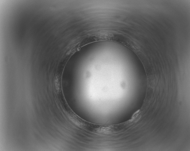 X0000059850086200511041850