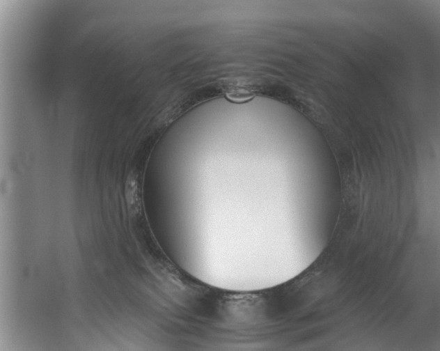 X0000059850087200511041850