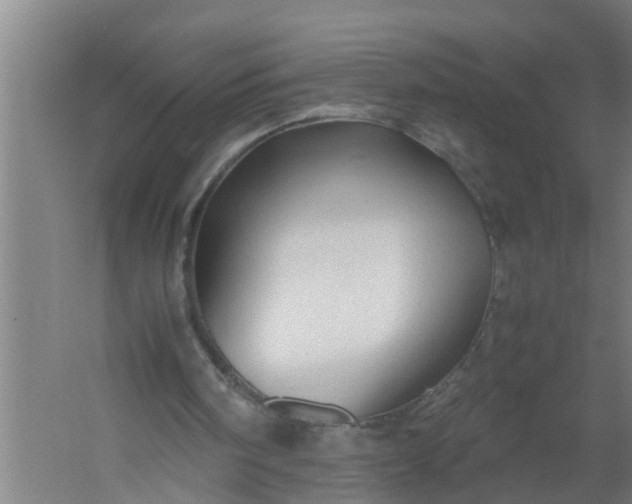 X0000059850098200511041850