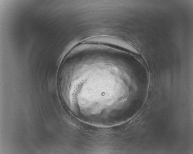 X0000059850099200511041850