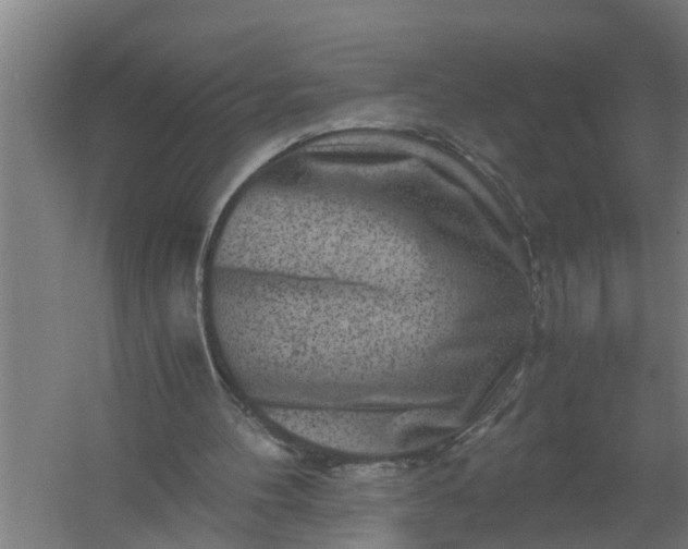 X0000059850100200511041850