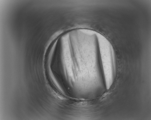 X0000059850104200511041850