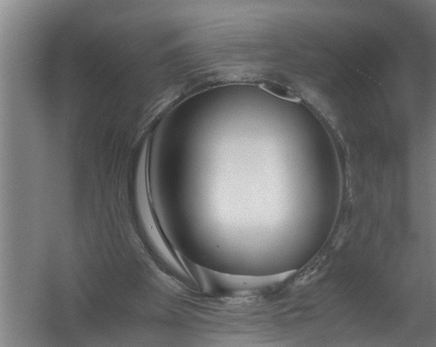 X0000059850105200511041850