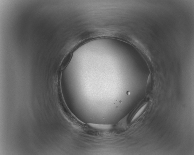 X0000059850107200511041850