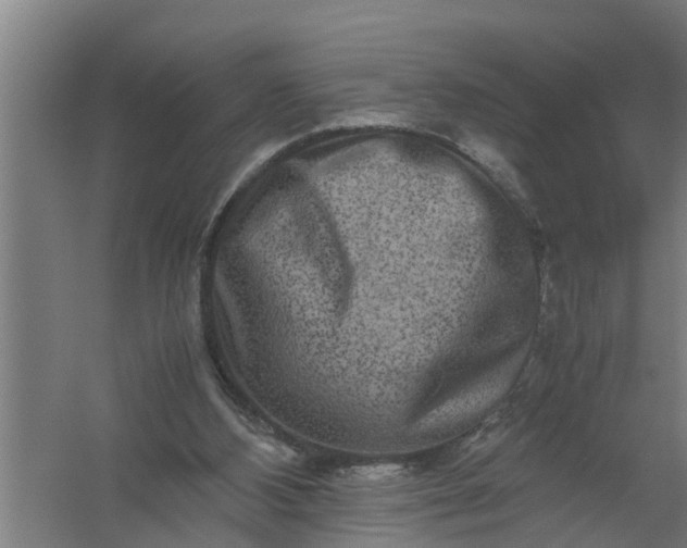 X0000059850108200511041850