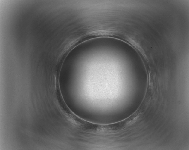 X0000059850109200511041850