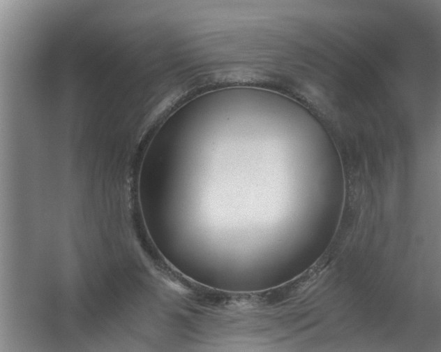 X0000059850111200511041849