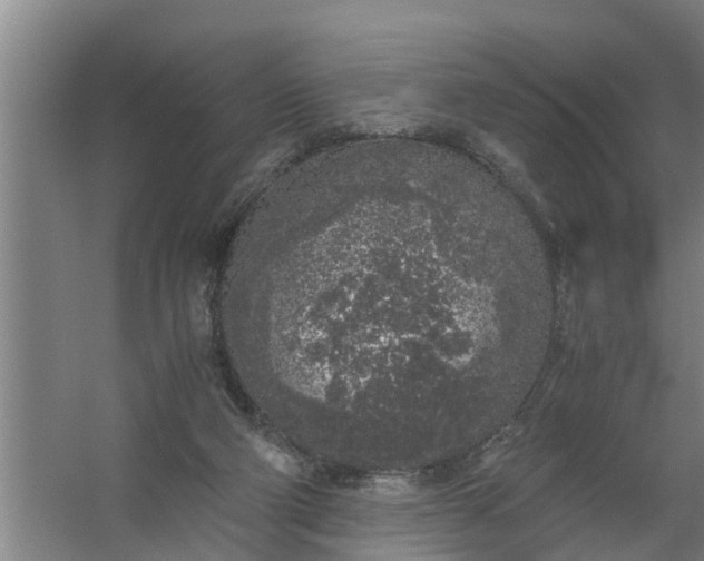 X0000059850114200511041849