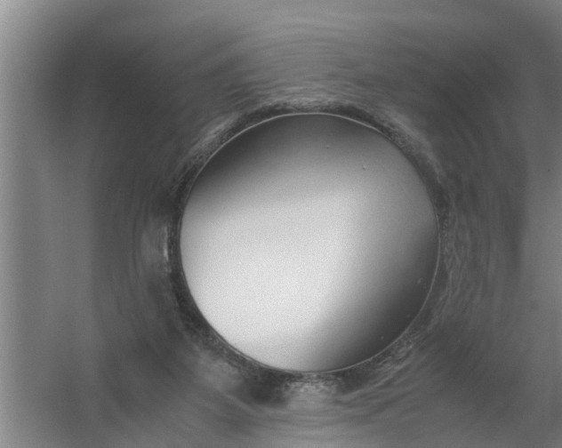 X0000059850115200511041849