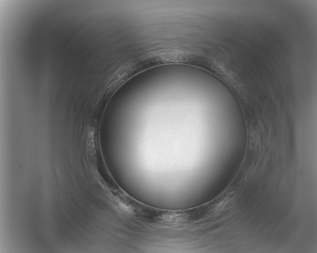 X0000059850117200511041849