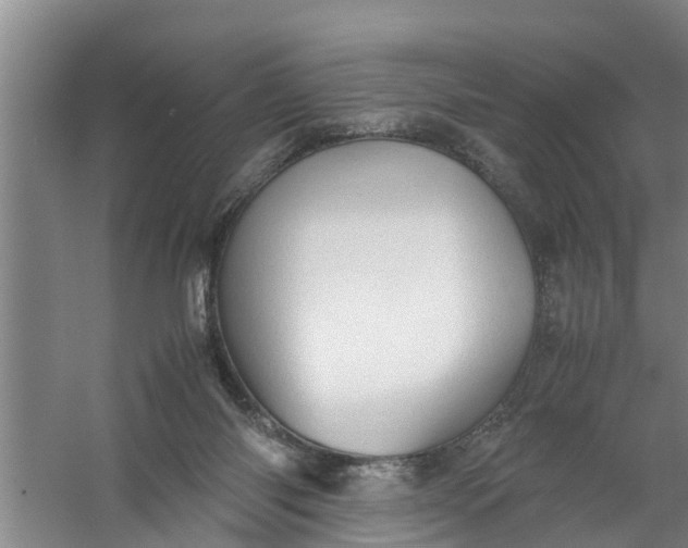 X0000059850118200511041849