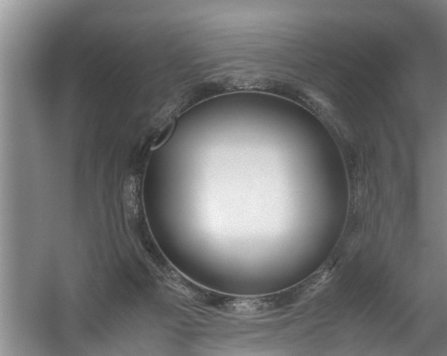 X0000059850121200511041849