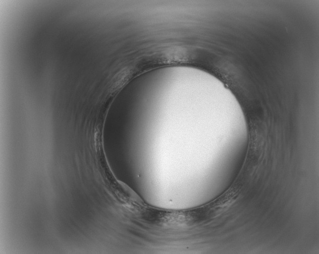 X0000059850123200511041849