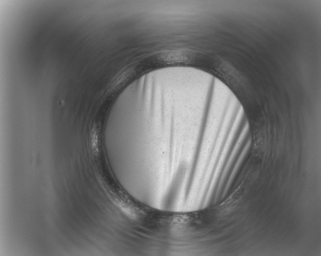 X0000059850124200511041849