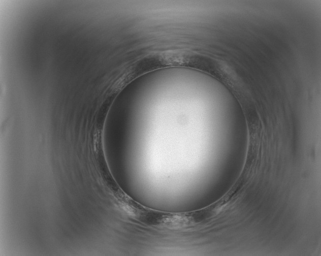 X0000059850125200511041849