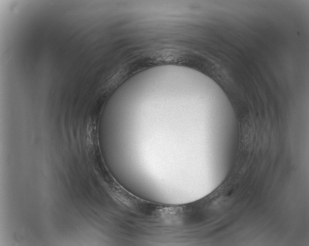 X0000059850126200511041849