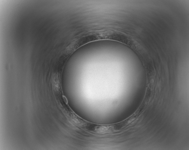 X0000059850129200511041849