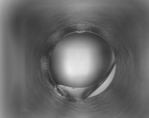 X0000059850137200511041849