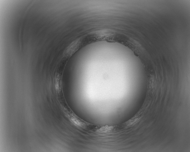 X0000059850138200511041849