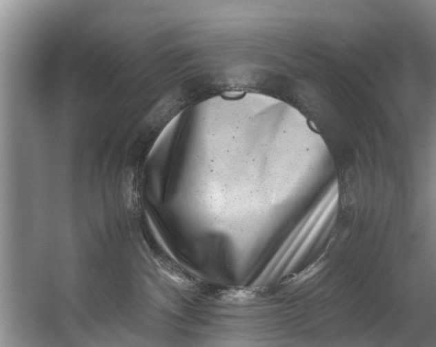 X0000059850140200511041849