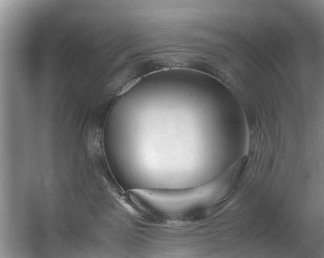 X0000059850141200511041849