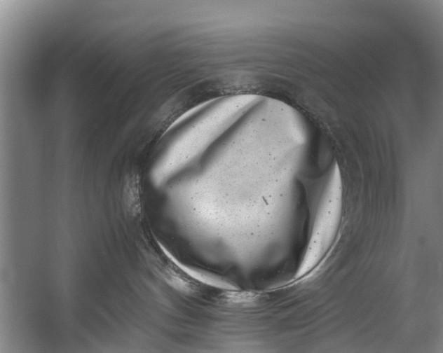 X0000059850144200511041849