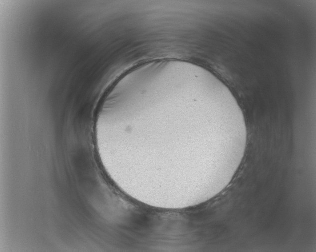 X0000059850146200511041848