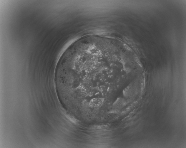 X0000059850147200511041848