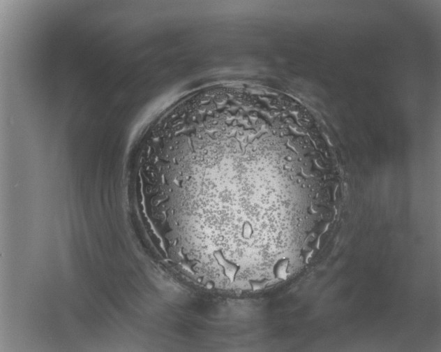 X0000059850149200511041848