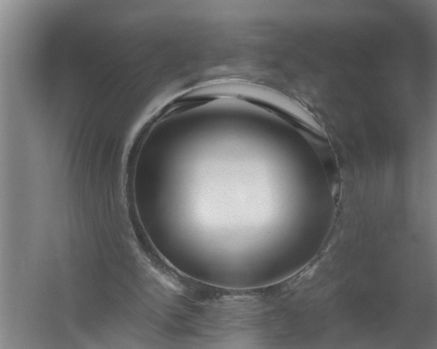 X0000059850150200511041848