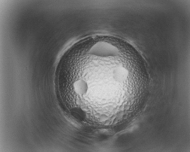 X0000059850151200511041848