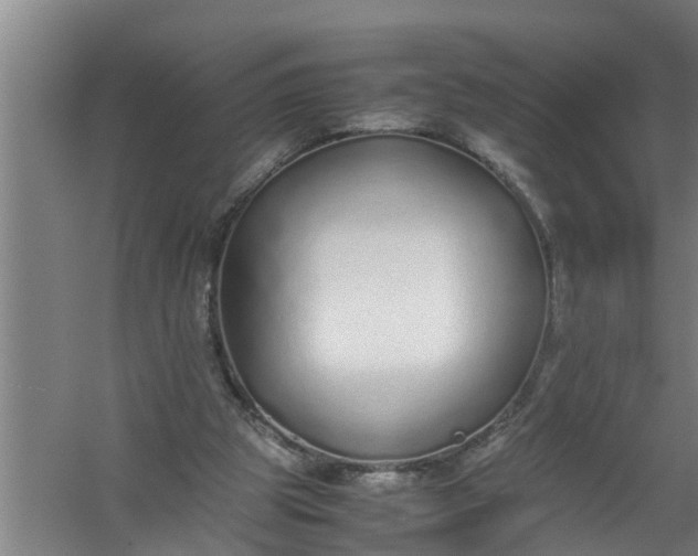 X0000059850153200511041848