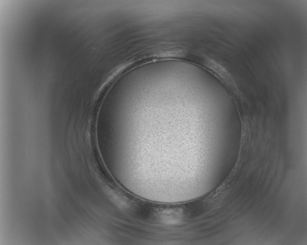 X0000059850155200511041848