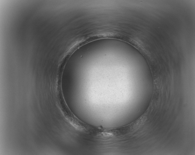 X0000059850159200511041848