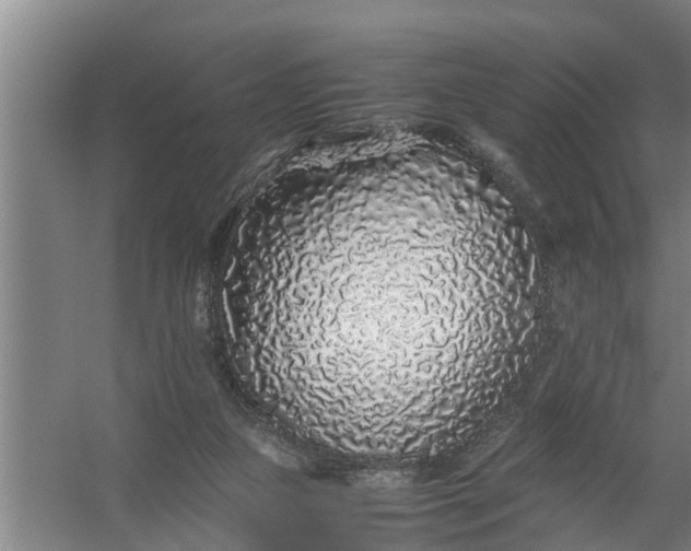 X0000059850161200511041848