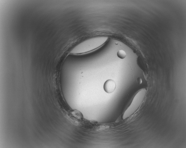 X0000059850162200511041848