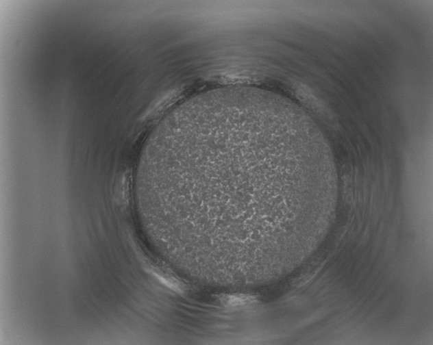 X0000059850165200511041848