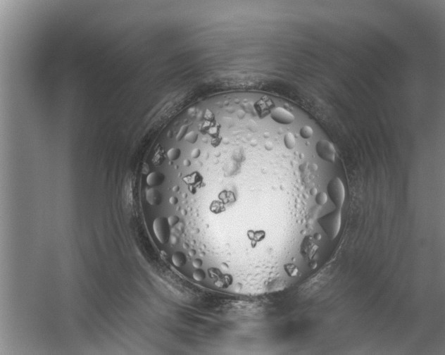 X0000059850166200511041848