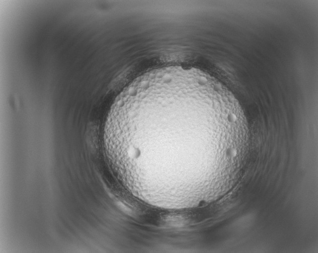 X0000059850171200511041849