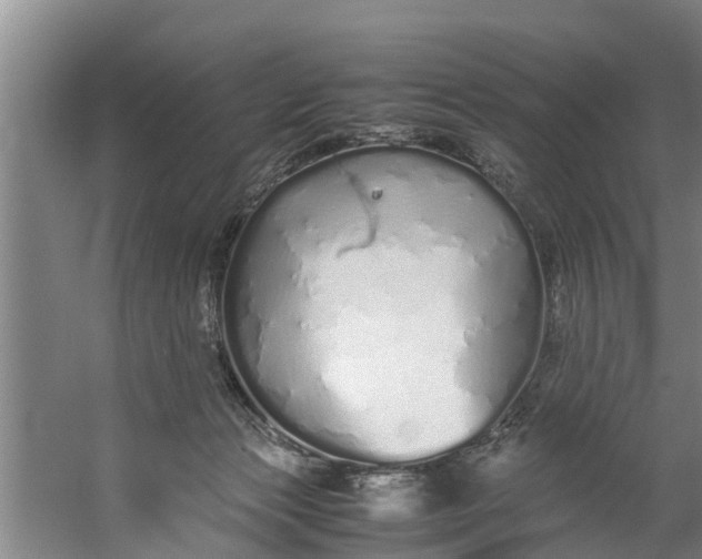 X0000059850173200511041849