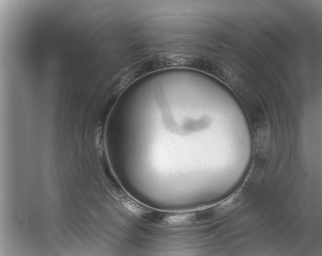 X0000059850178200511041849