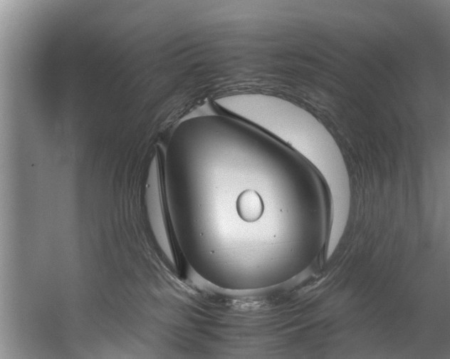 X0000059850185200511041849